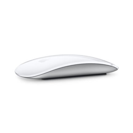 Apple Magic Mouse 2 USB-C to Lightning